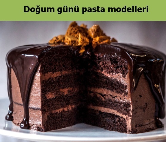 Atatrk Orman iftlii Ankara doum gn pasta modelleri