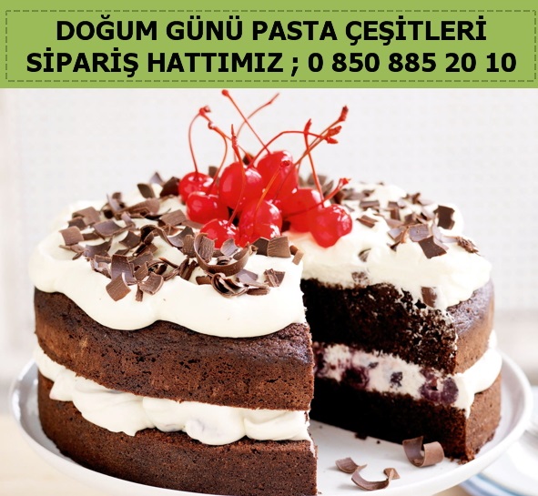 ya pasta siparii Atatrk Orman iftlii Ankara 